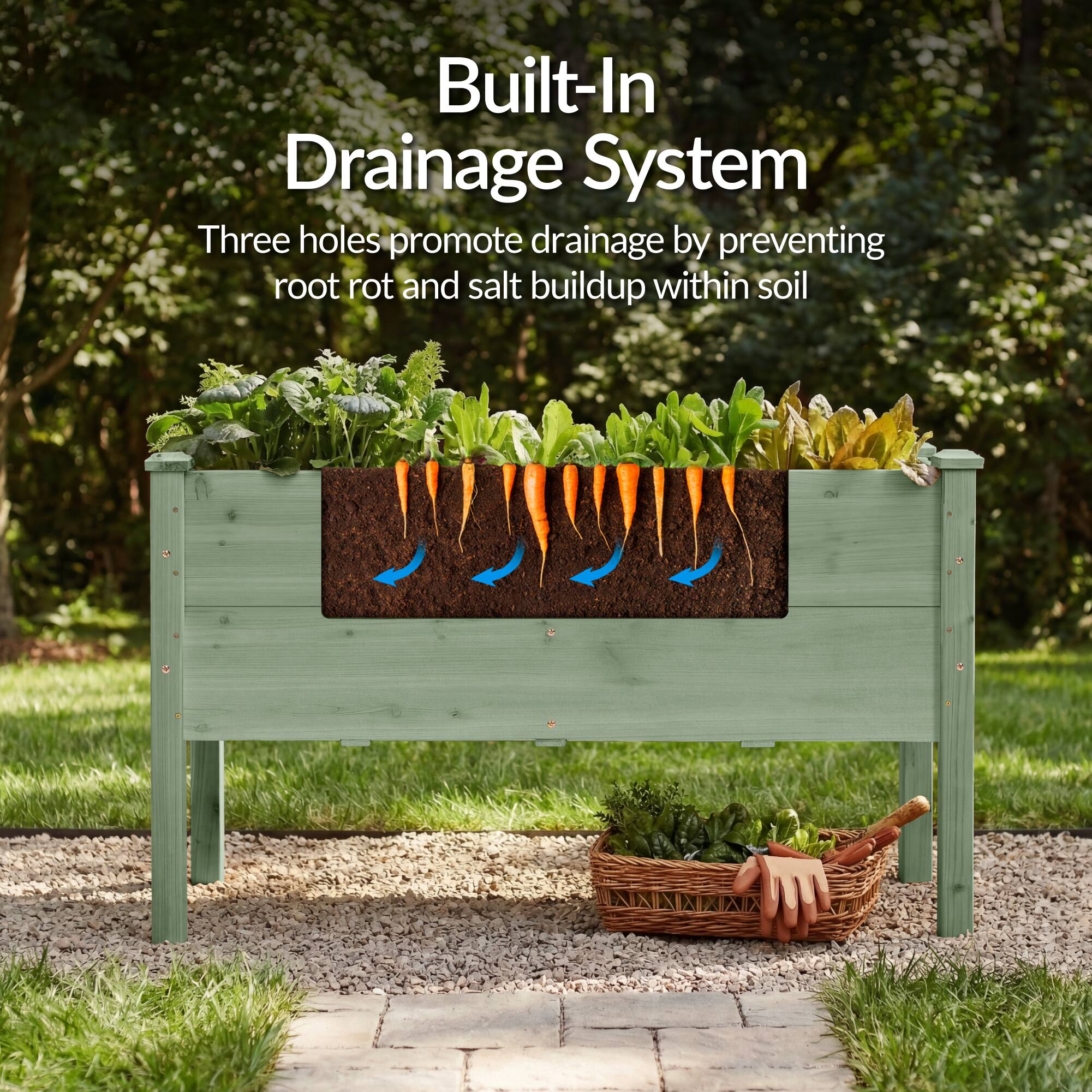 Built-In Drainage System

Three holes promote drainage by preventing root rot and salt buildup within soil
