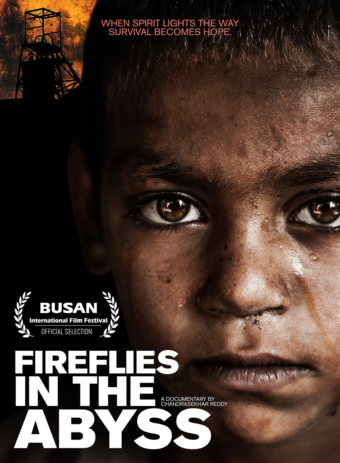 Fireflies In The Abyss  - DVD