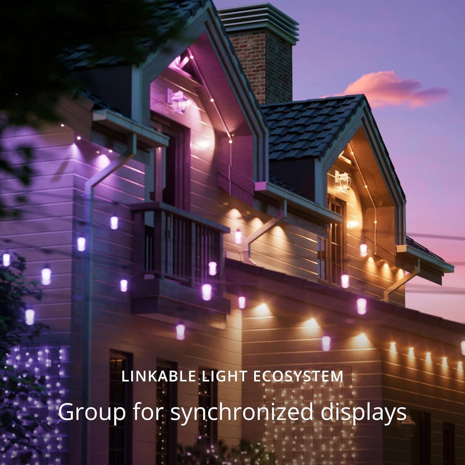 LINKABLE LIGHT ECOSYSTEM  
Group for synchronized displays