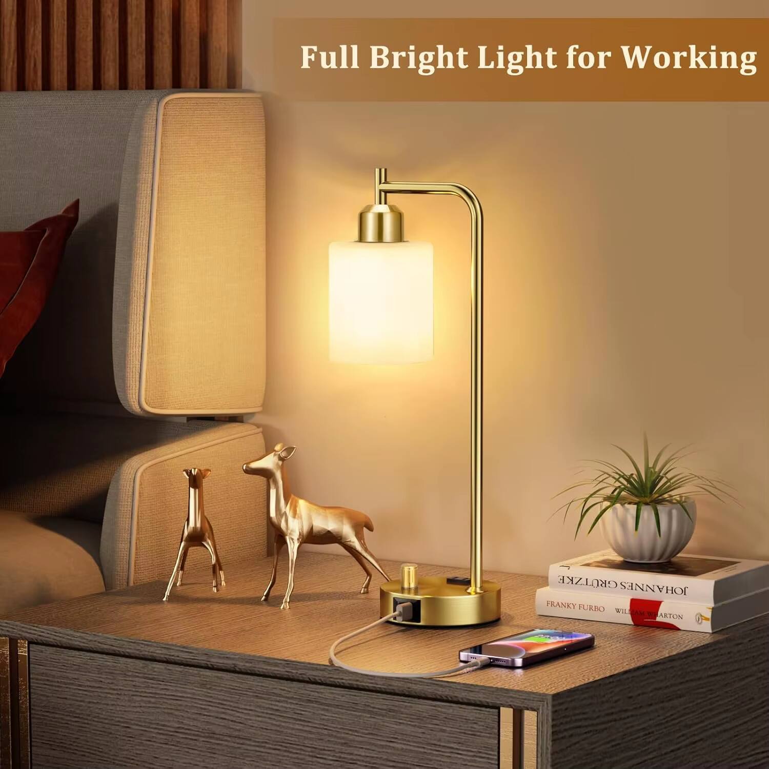 Full Bright Light for Working

GROTZKE JOHANNES FRANKY FURBO WULLIA 30 MARION