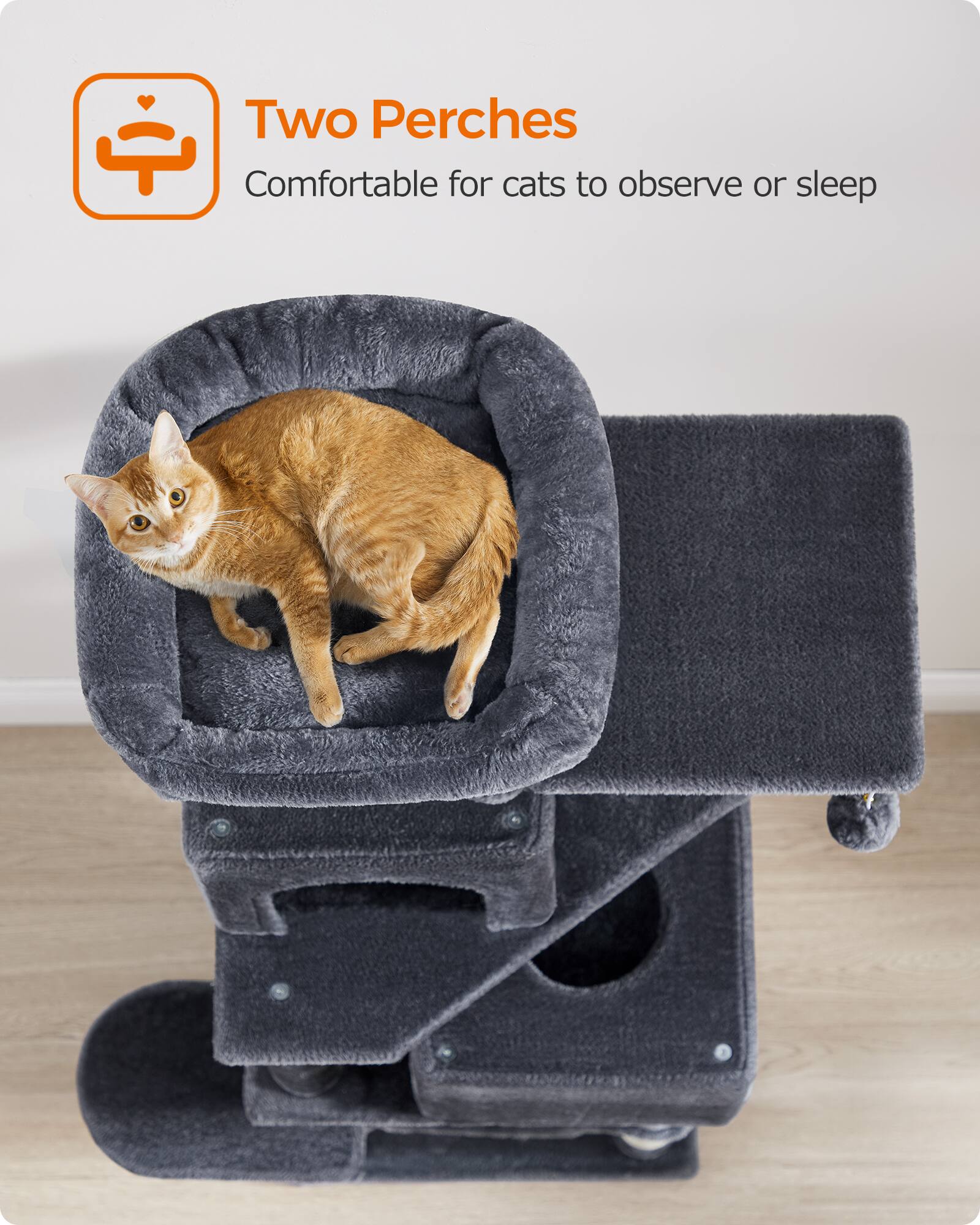 Two Perches  
Comfortable for cats to observe or sleep