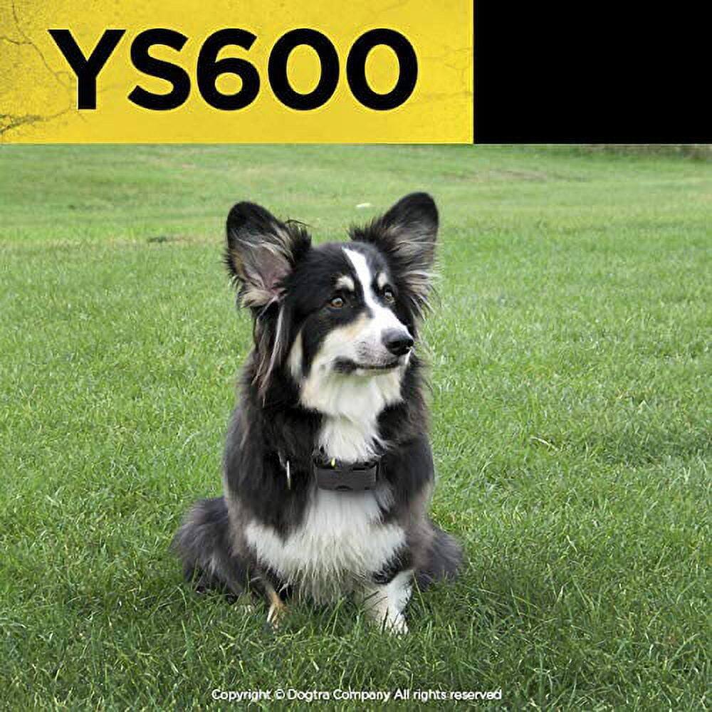 YS600  
Copyright © Dogtra Company All rights reserved