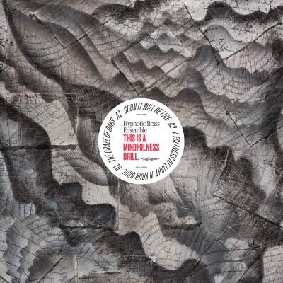 Front. This Is a Mindfulness Drill [LP].