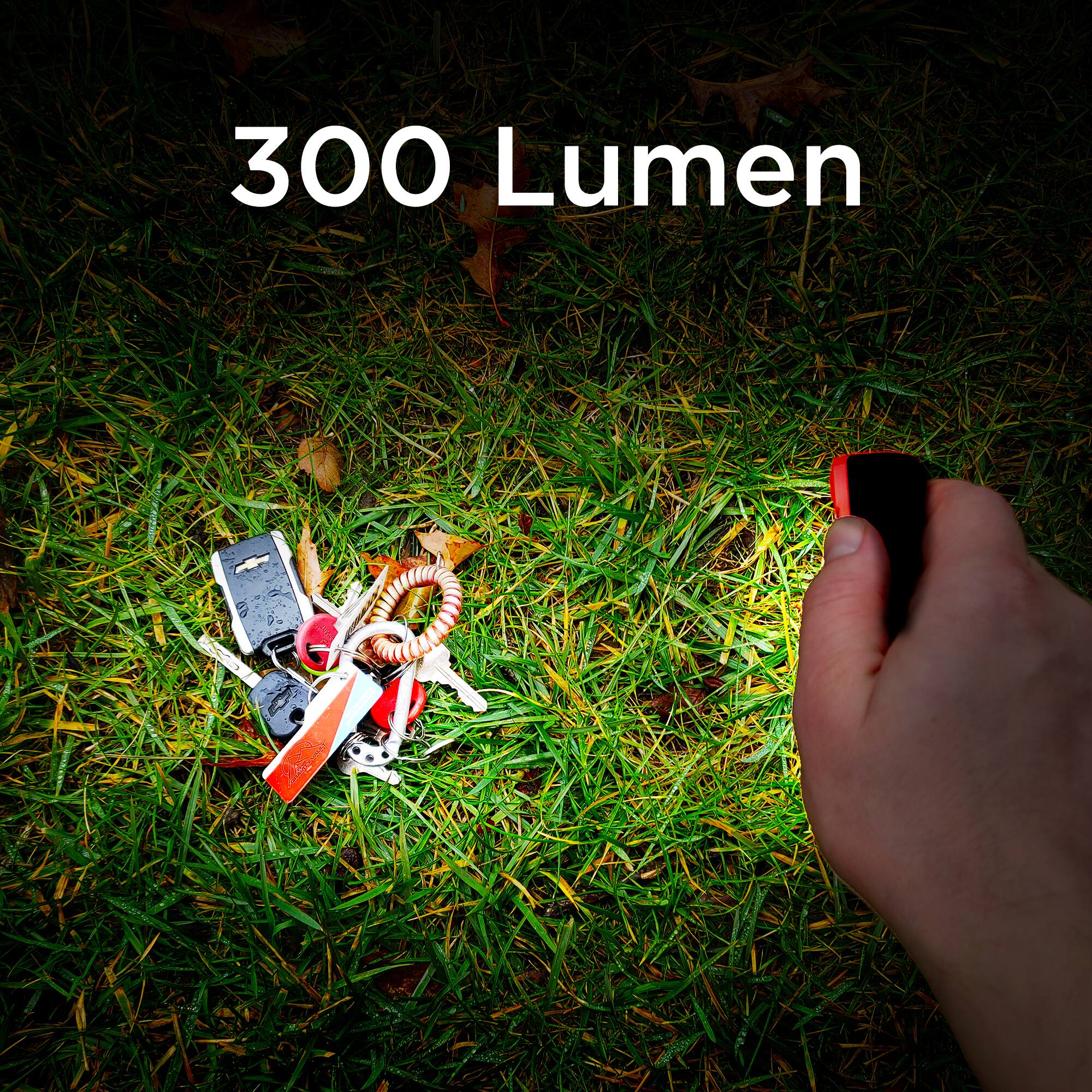 300 Lumen
