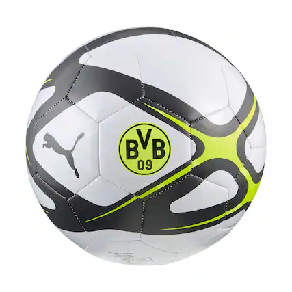 BVB 09