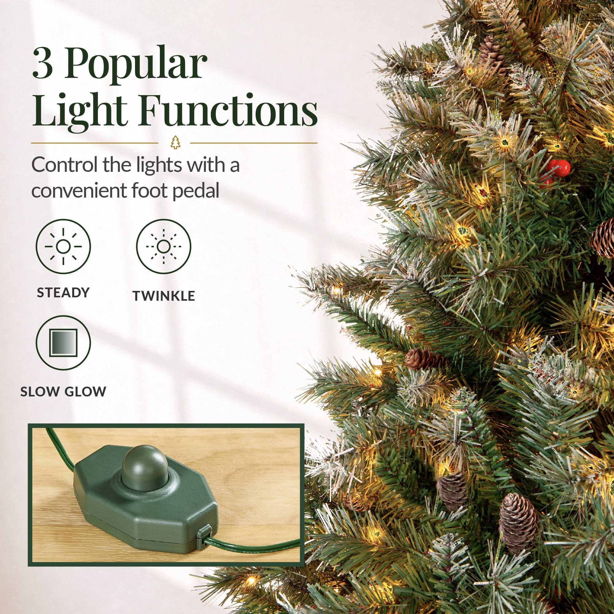 3 Popular Light Functions  
Control the lights with a convenient foot pedal  
STEADY  
TWINKLE  
SLOW GLOW