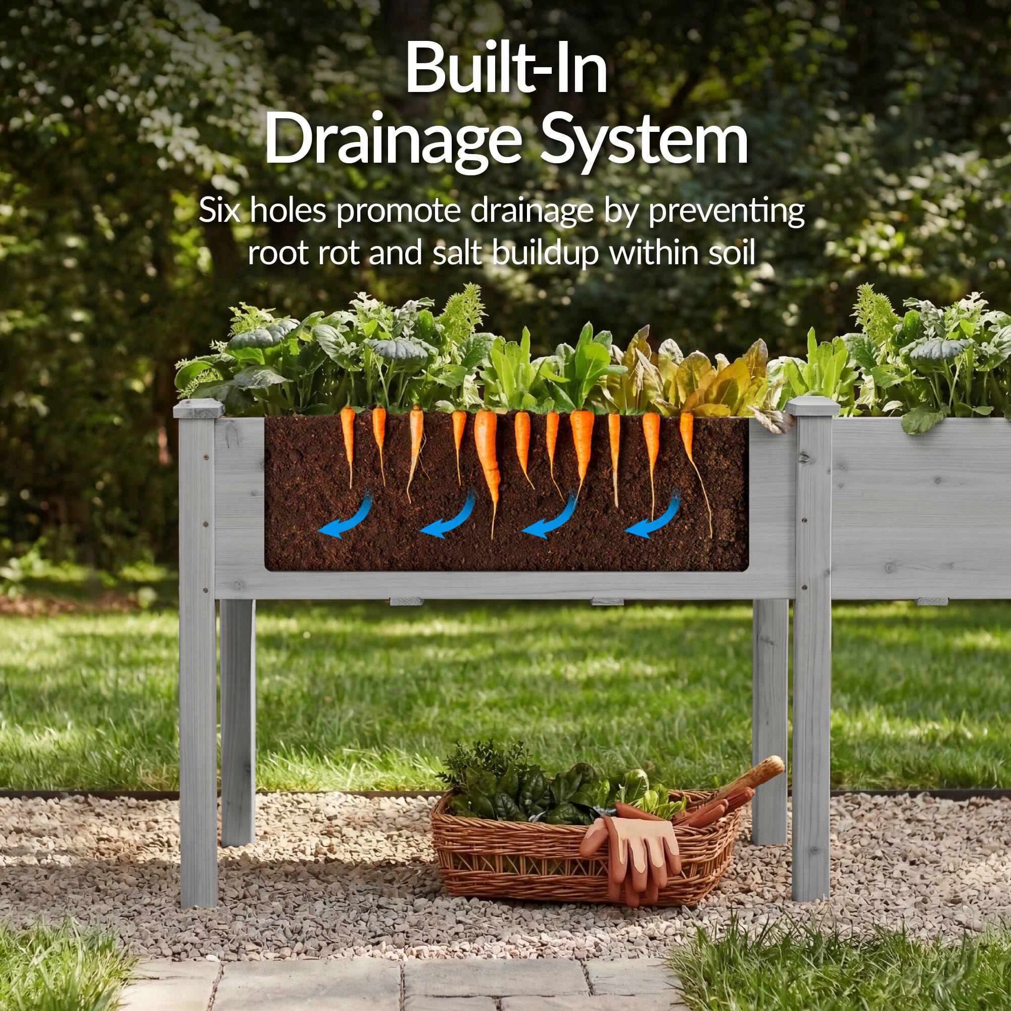 Built-In Drainage System  
Six holes promote drainage by preventing root rot and salt buildup within soil