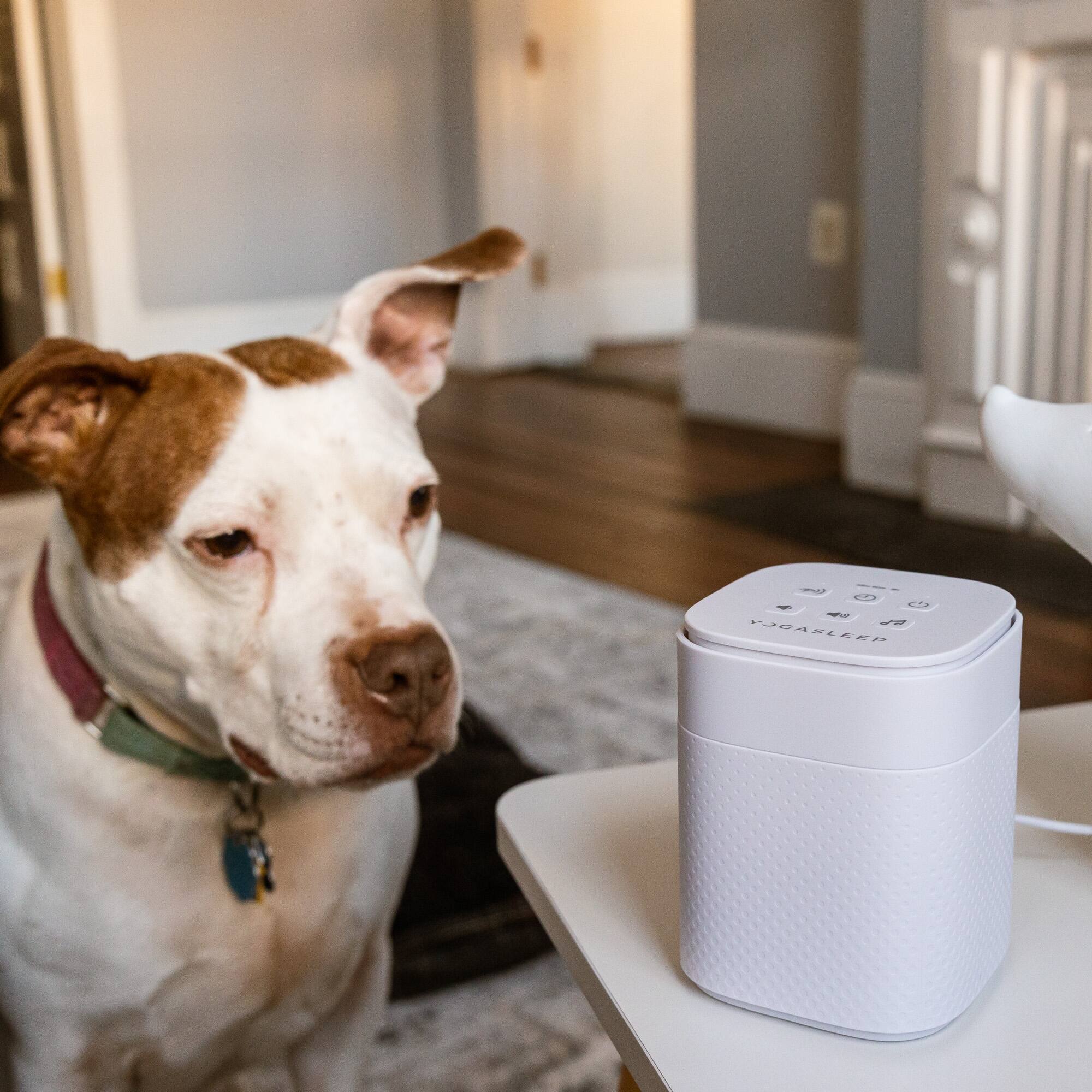 Alt View 3. Yogasleep - Pawzz Sound Machine for Dogs - White.