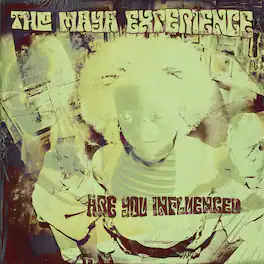 Maya Experience - Are You Influenced - Purple - VINYL LP