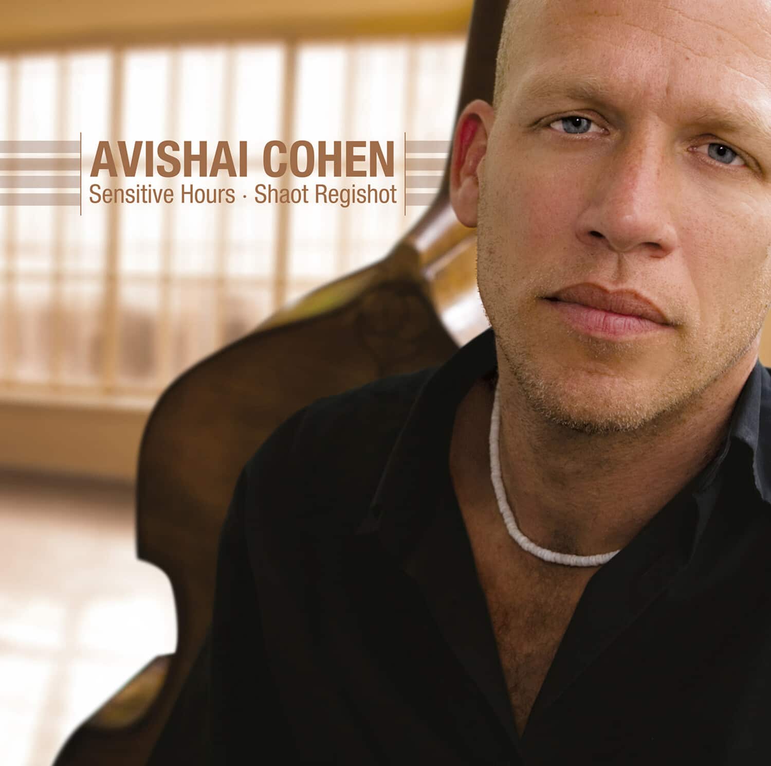 Avishai Cohen - Sensitive Hours  - VINYL LP
