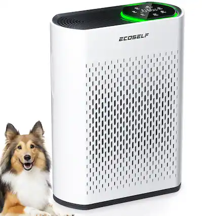Front. Xenonlab - Powerful Air Purifiers for Home Room Up to 2400 Ft² with Air Quality Monitor 20dB Sleep Mode - white.