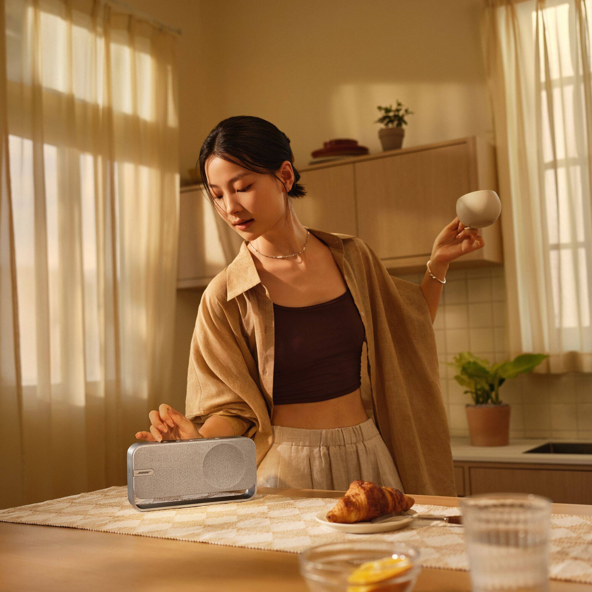 Alt View 4. Bose - SoundLink Home Portable Bluetooth Speaker - Light Silver.