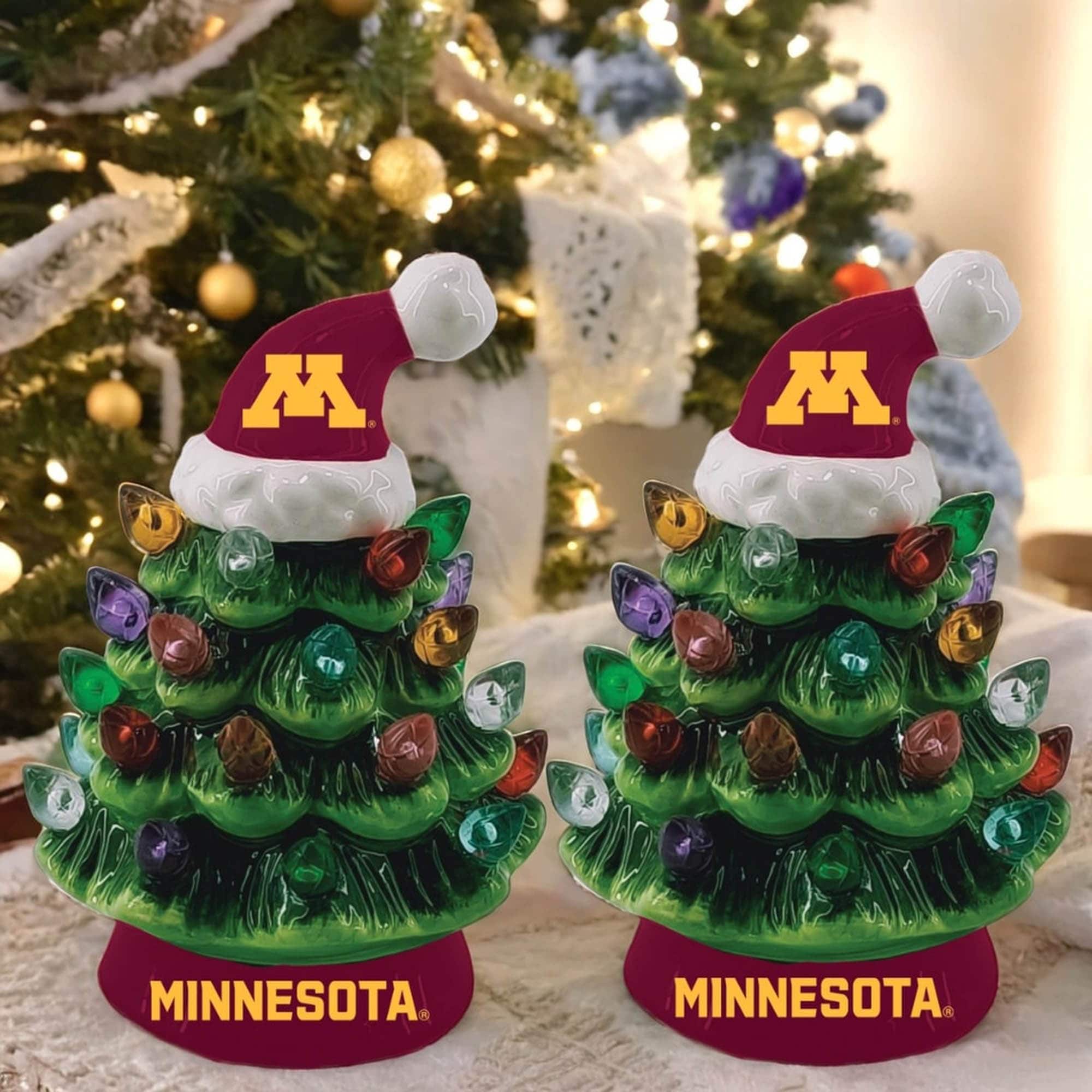 MINNESOTA  
MINNESOTA