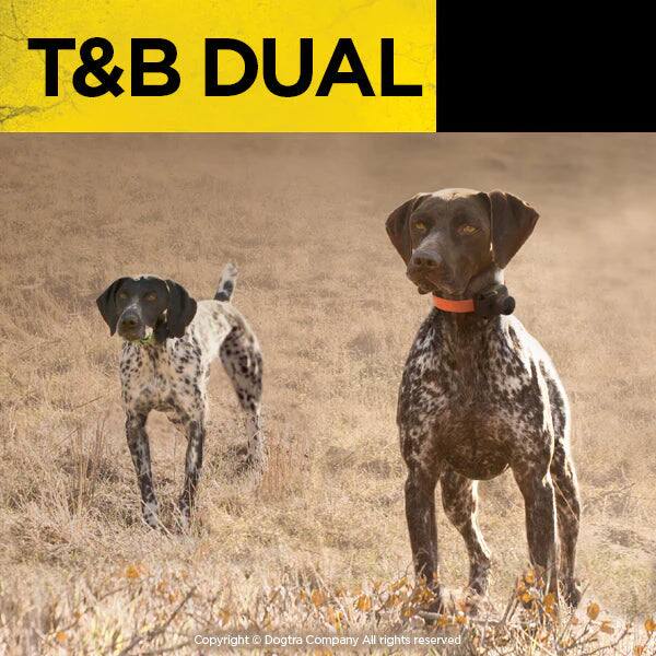 T&B DUAL

Copyright © Dogtra Company All rights reserved