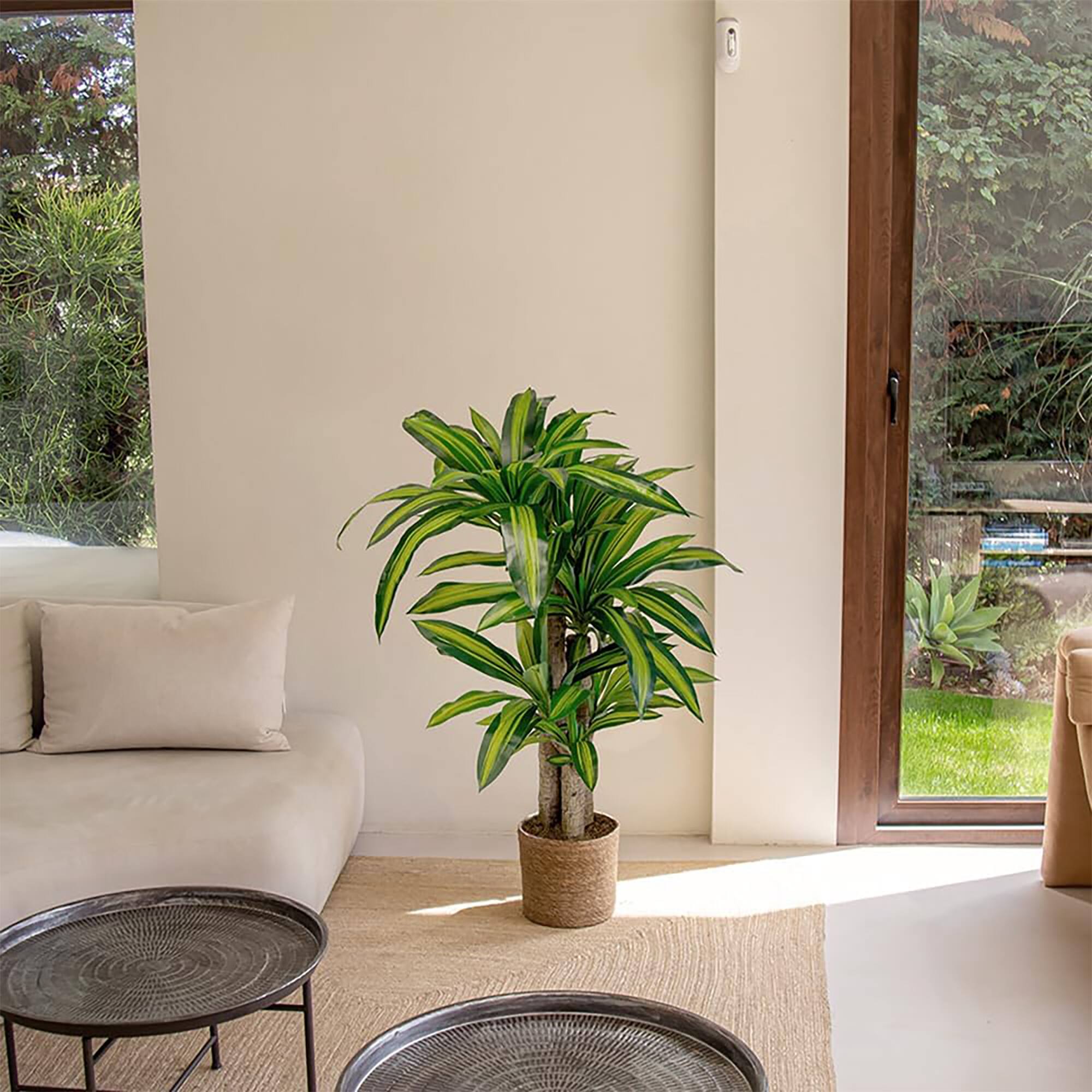 Alt View 7. Maia Shop - Maia Shop Artificial Dracaena Tree 5 ft. Tall Tropical Home Decoration, 61 In. - Brown.