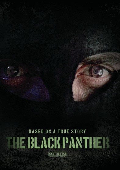 The Black Panther (MOD) (DVD Movie) price history on PriceWatchPro