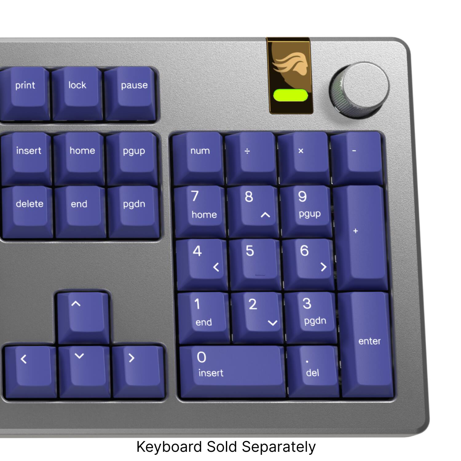 Keyboard Sold Separately