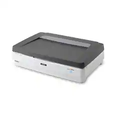EPSON noingo 12000XL