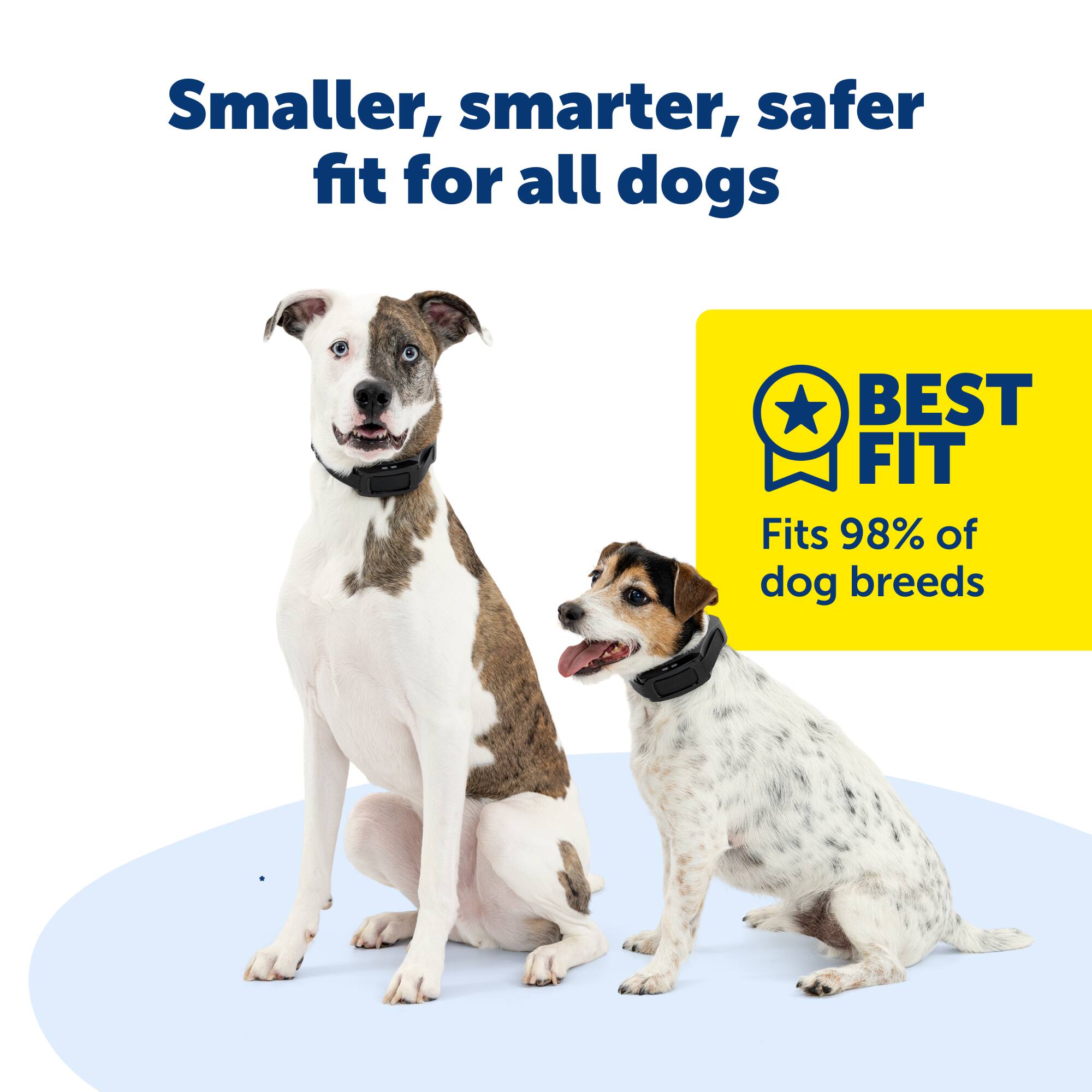 Smaller, smarter, safer fit for all dogs BEST FIT Fits 98% of dog breeds