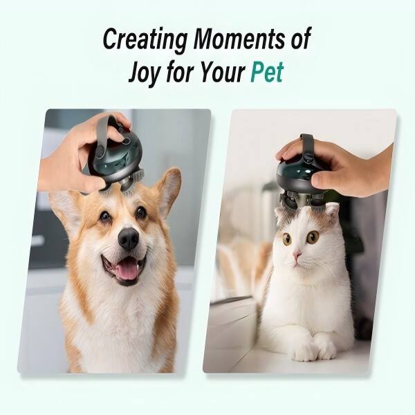 Creating Moments of Joy for Your Pet