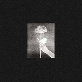 White Flowers - Day By Day - VINYL LP