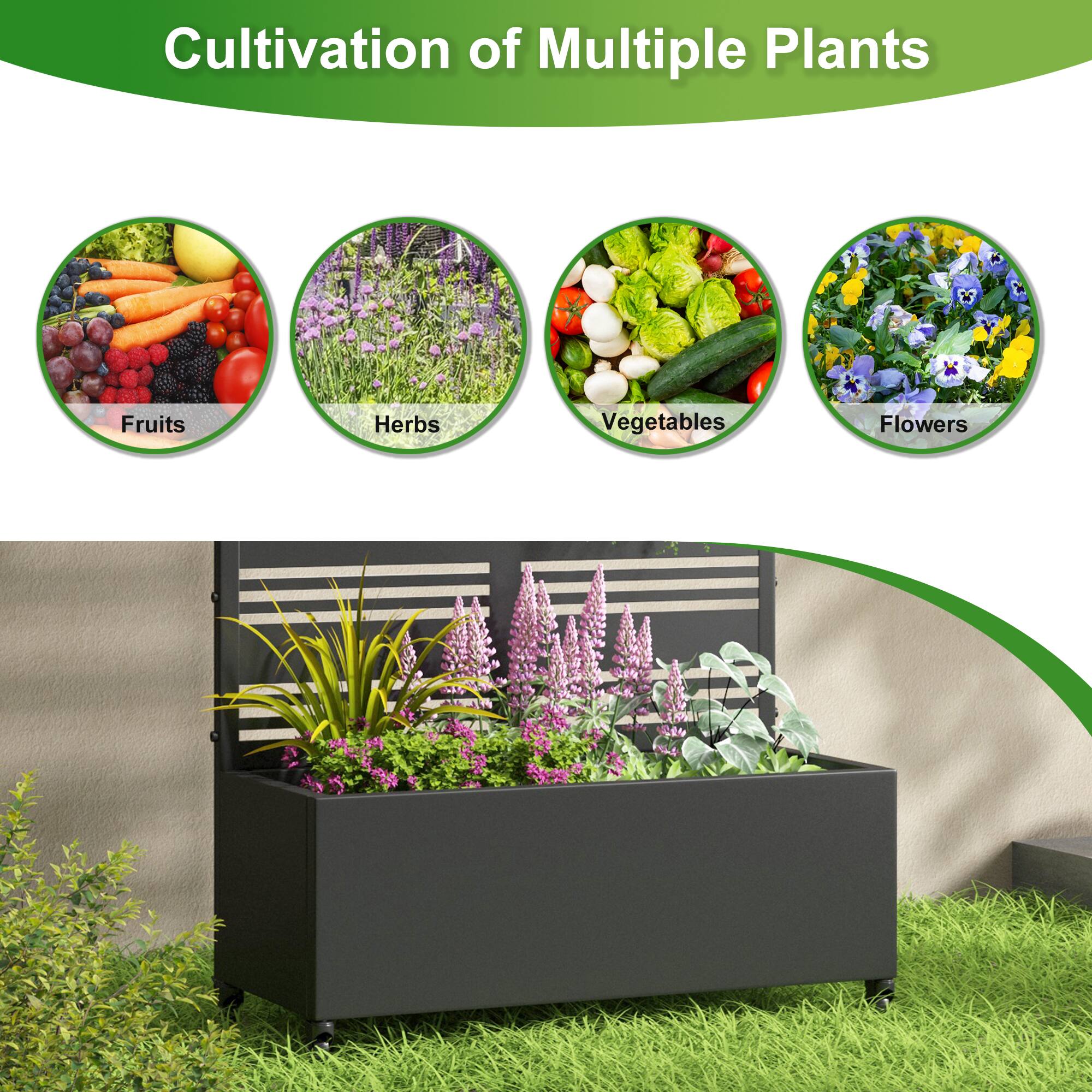 Cultivation of Multiple Plants

- Fruits
- Herbs
- Vegetables
- Flowers