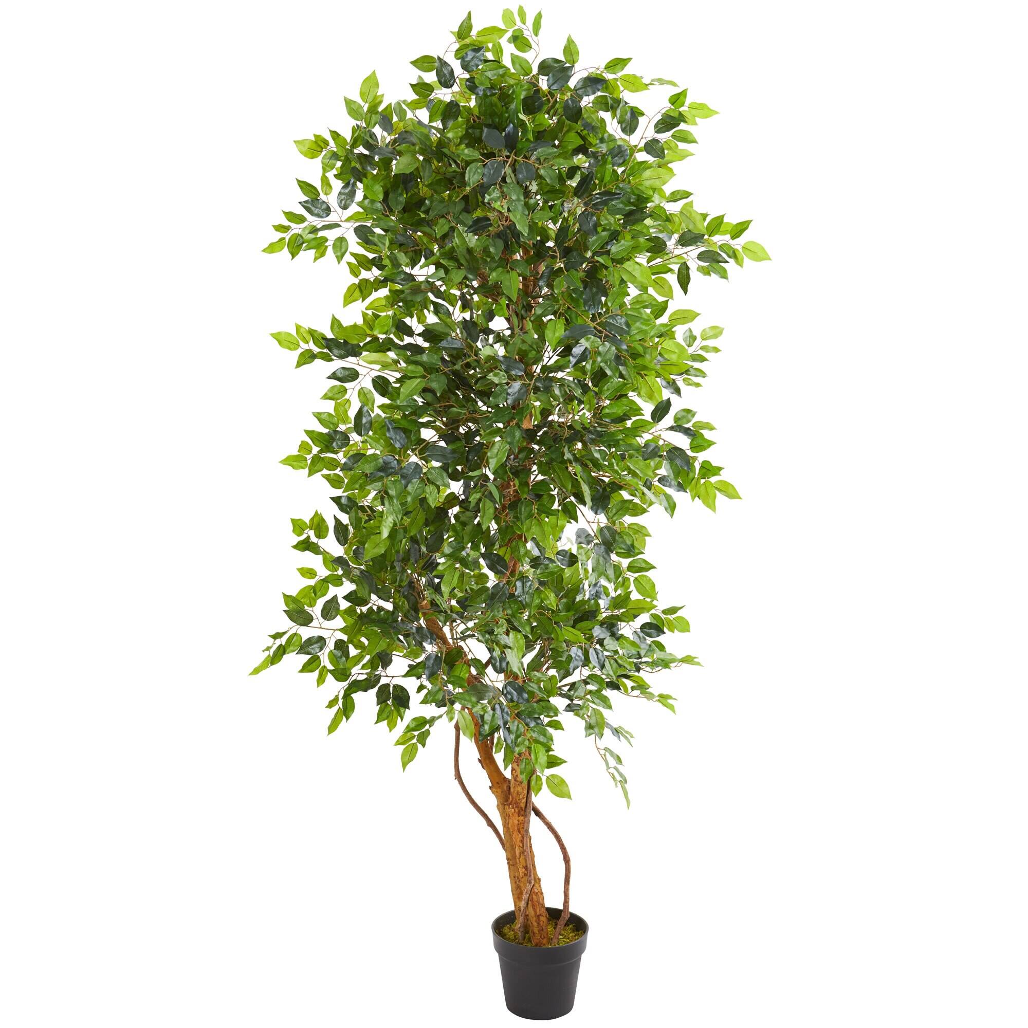 Front. BreeBe - 6' Elegant Ficus Artificial Tree - Green.