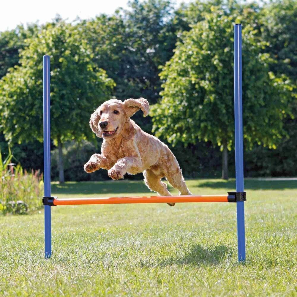 Left. TRIXIE - Dog Agility Hurdle, Obstacle Training - Blue/Orange.