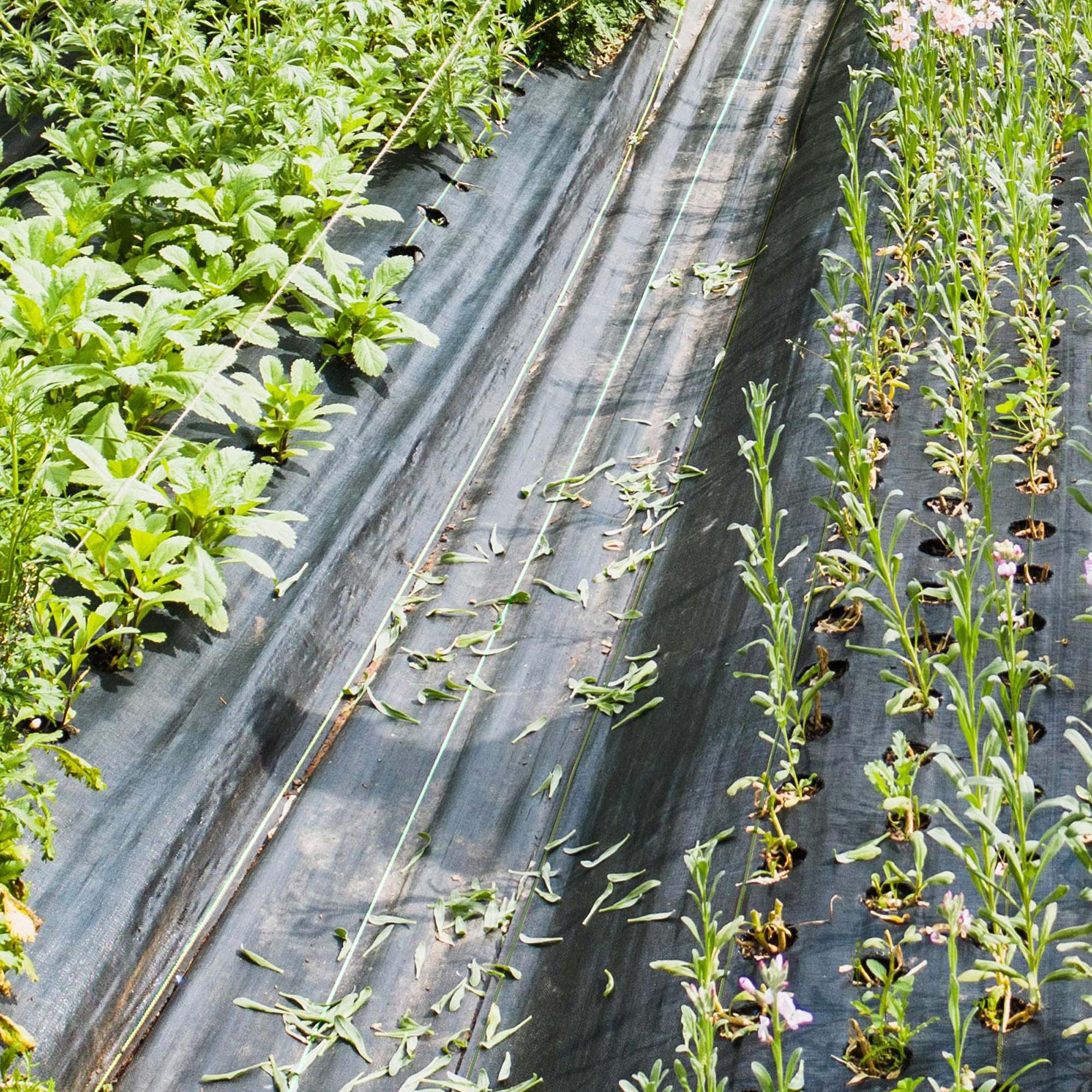Alt View 4. Costway - 6.5 x 330FT Weed Barrier Landscape Fabric 3.2 OZ Heavy Duty Woven Gardening Mat - Black.