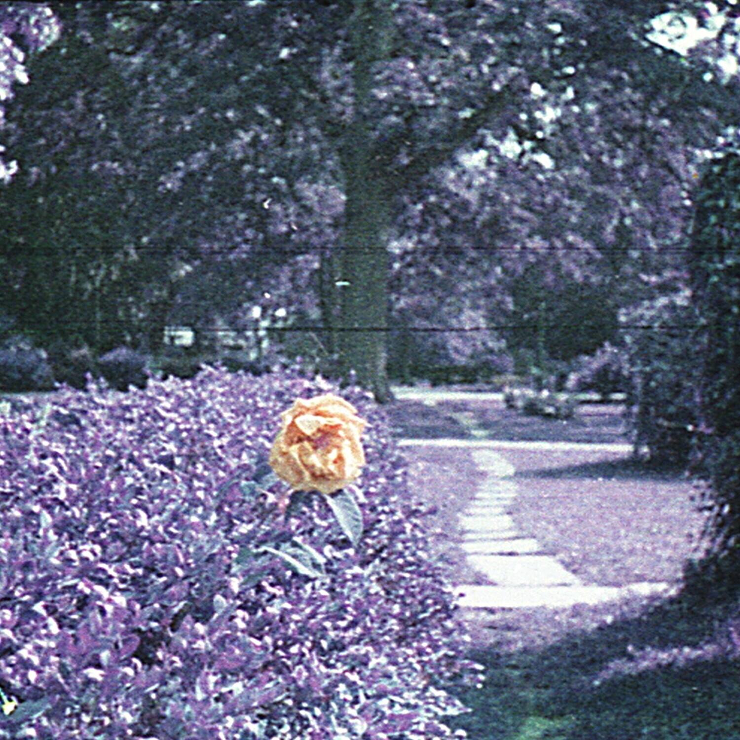 Front. Hour - Subminiature - CASSETTES.