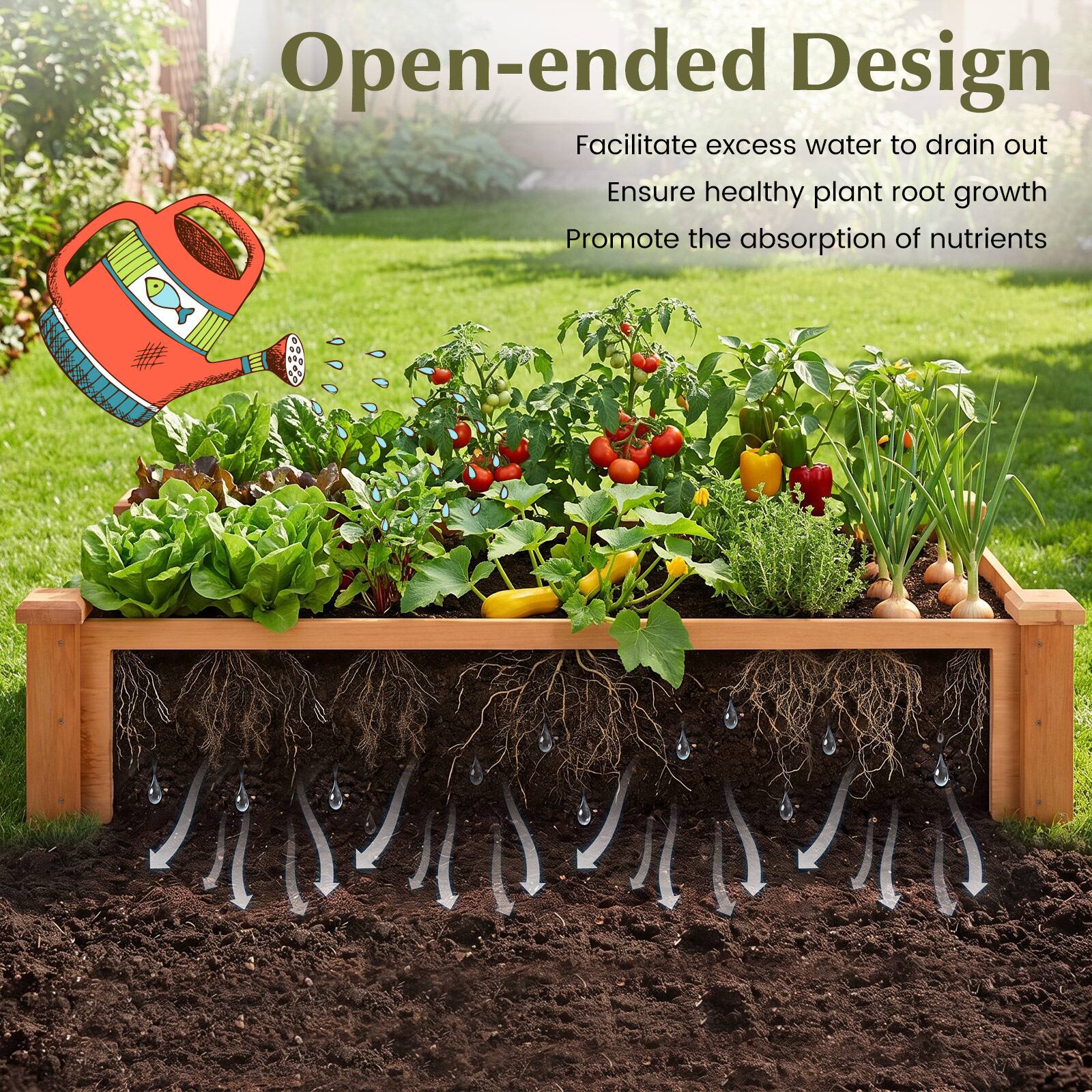 Open-ended Design  
Facilitate excess water to drain out  
Ensure healthy plant root growth  
Promote the absorption of nutrients