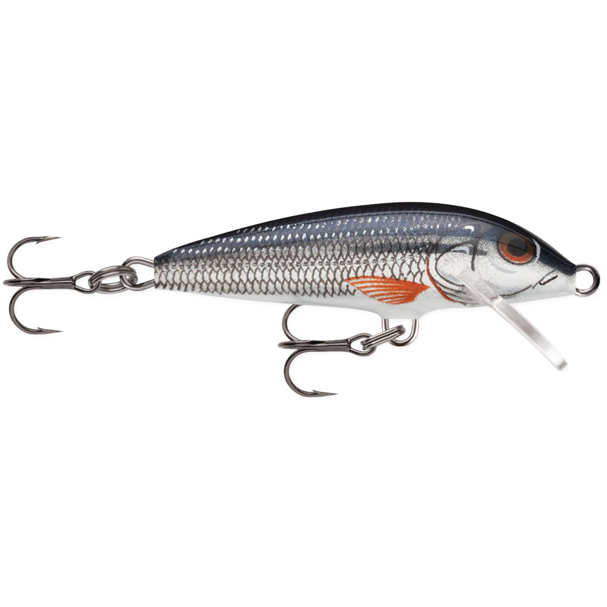 Silver Shiner