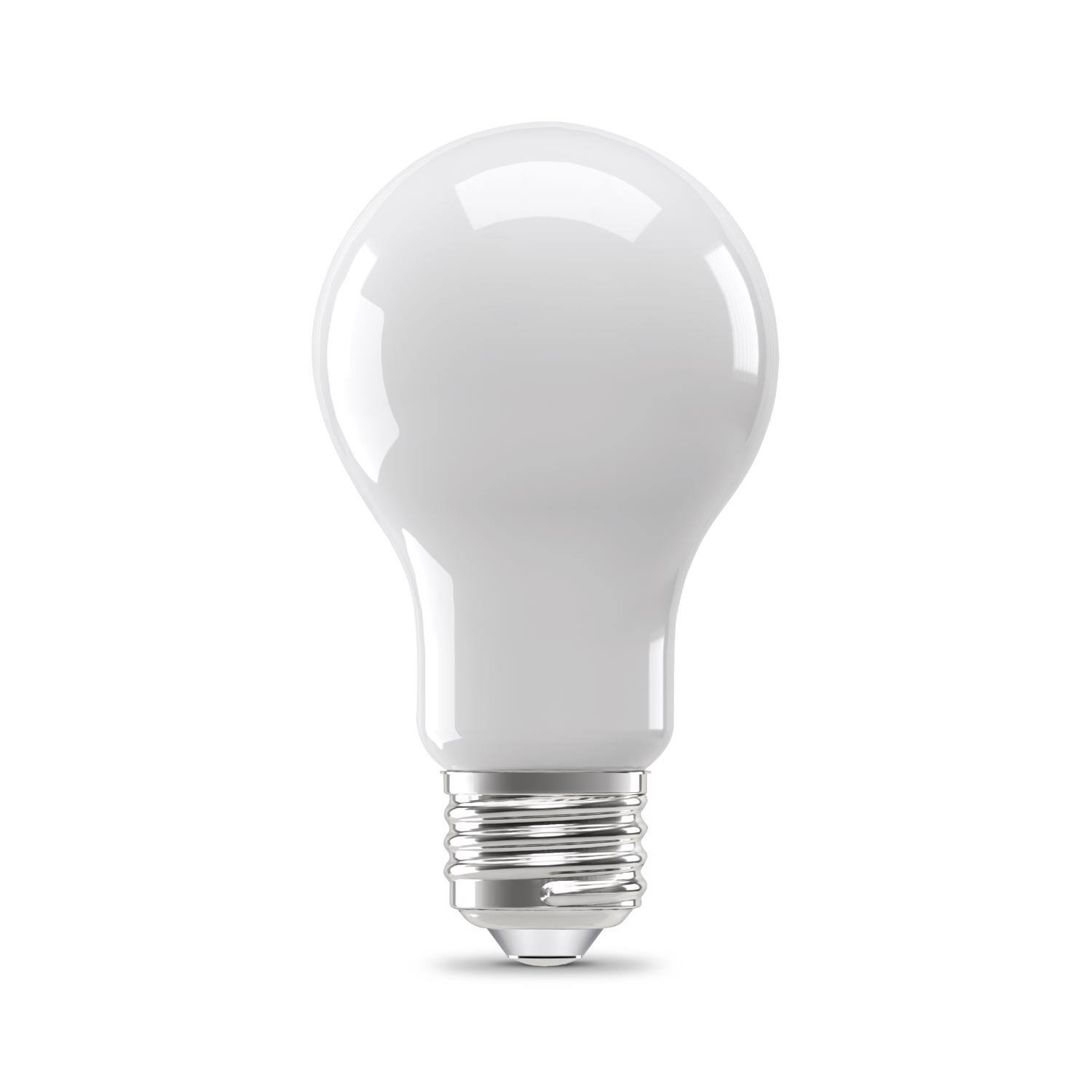 Angle. FEIT ELECTRIC - Feit A19 E26 (Medium) LED Bulb Daylight 60 Watt Equivalence 8 pk.