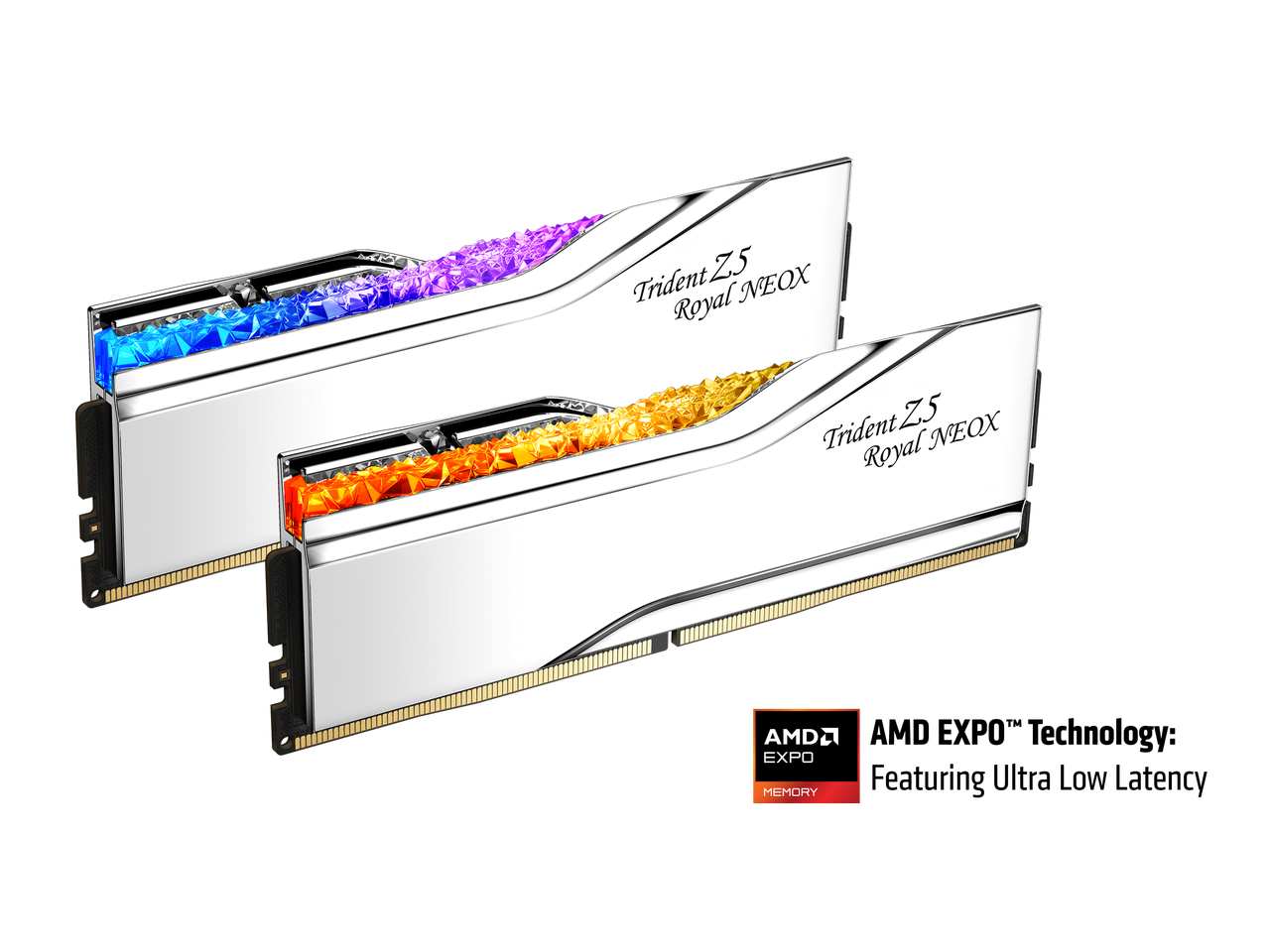 G.SKILL Trident Z5 Royal NeoX 32GB (2x16GB) DDR5 6000 PC5 48000 Desktop ...