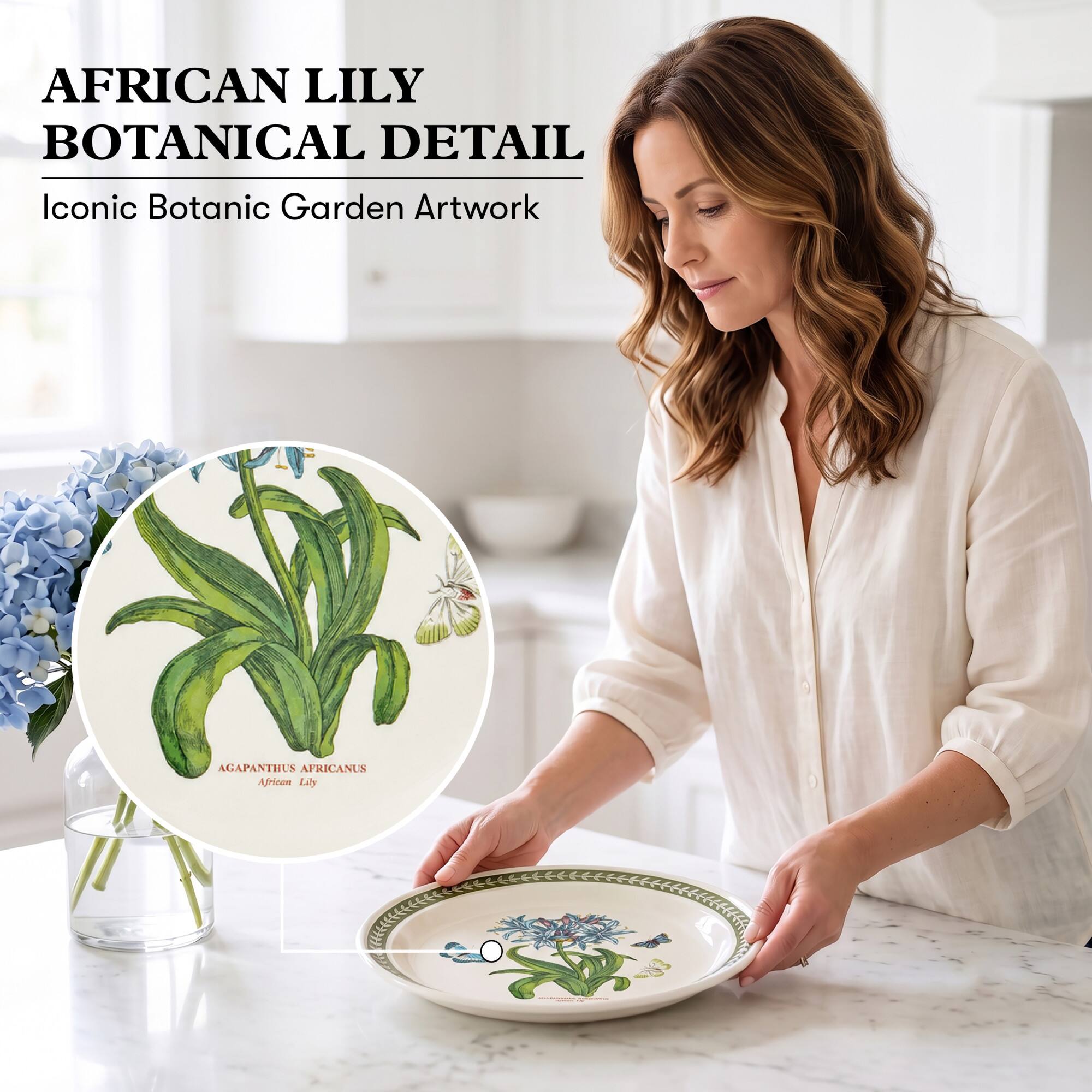 AFRICAN LILY BOTANICAL DETAIL  
Iconic Botanic Garden Artwork  
AGAPANTHUS AFRICANUS African Lily