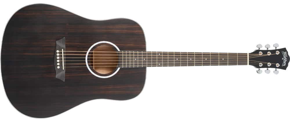 Washburn - DFED Deep Forest Dreadnought Acoustic Guitar - Striped Ebony