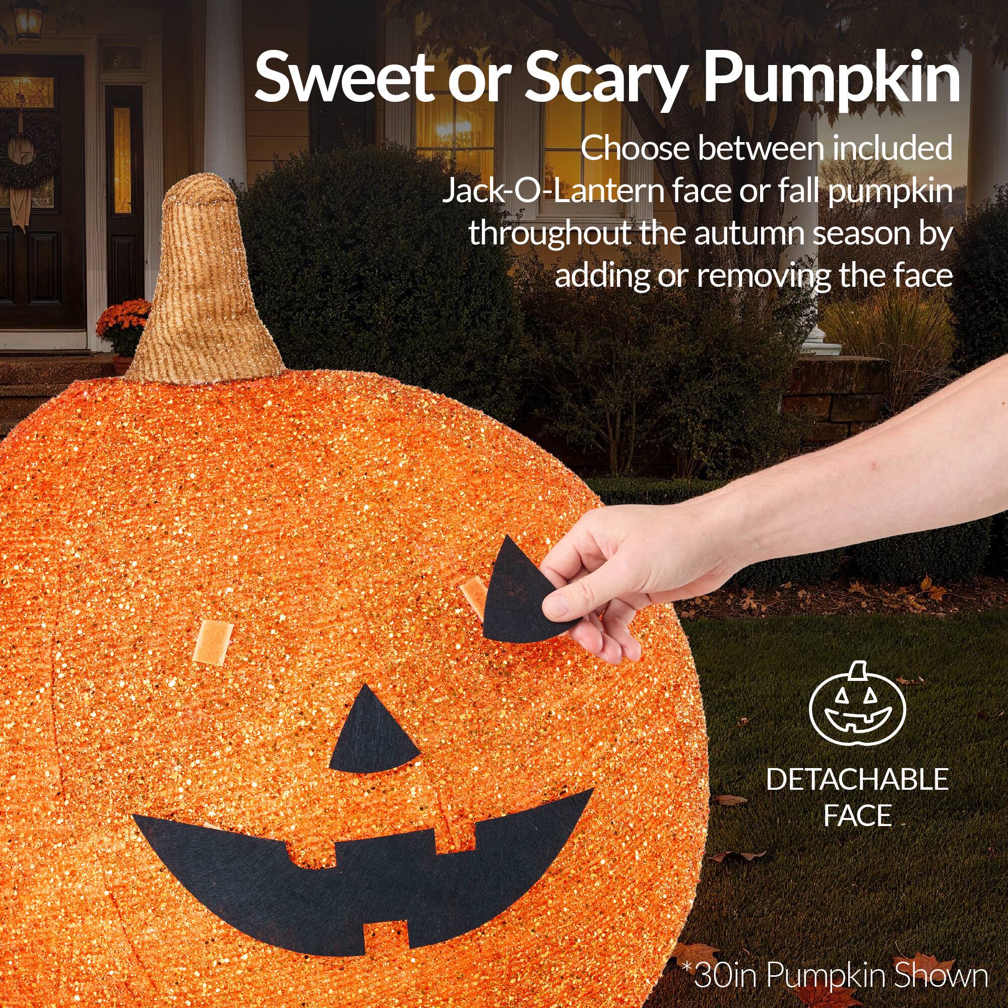 Sweet or Scary Pumpkin

Choose between included Jack-O-Lantern face or fall pumpkin throughout the autumn season by adding or removing the face

DETACHABLE FACE

*30in Pumpkin Shown