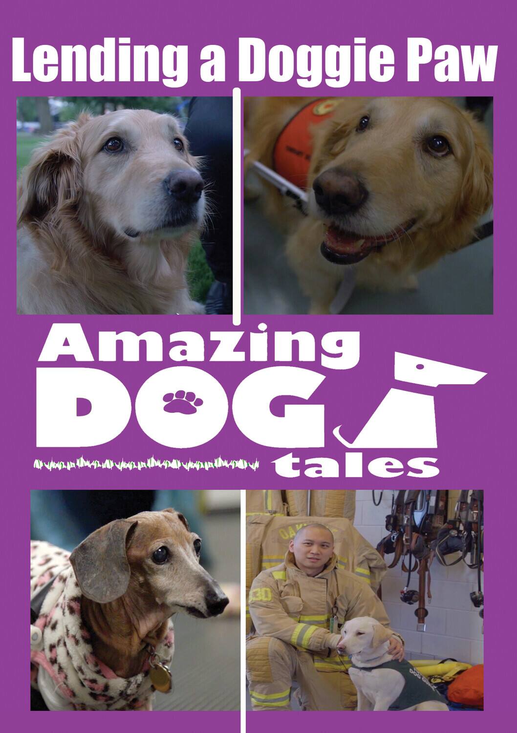 Front. Amazing Dog Tales - Lending a Doggie Paw   - DVD.
