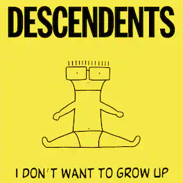 Descendents - I Don't Want to Grow Up - CASSETTES