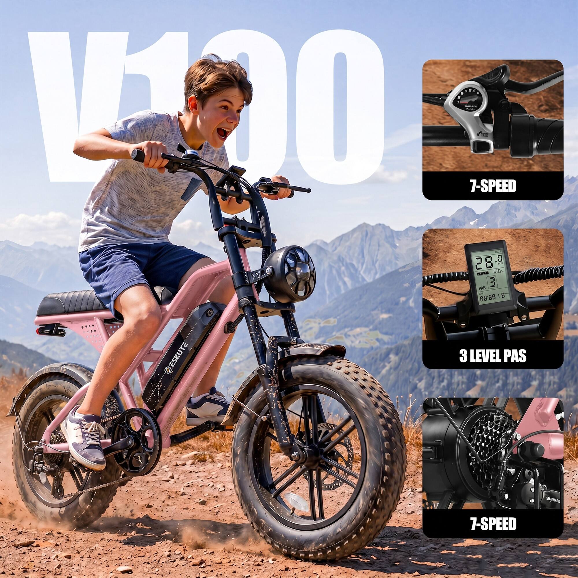 V100

- 7-SPEED
- 3 LEVEL PAS
- 7-SPEED