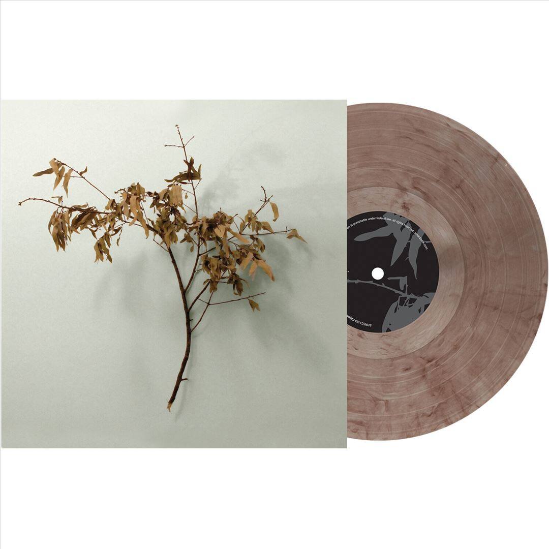 Front. In Motion [LP].