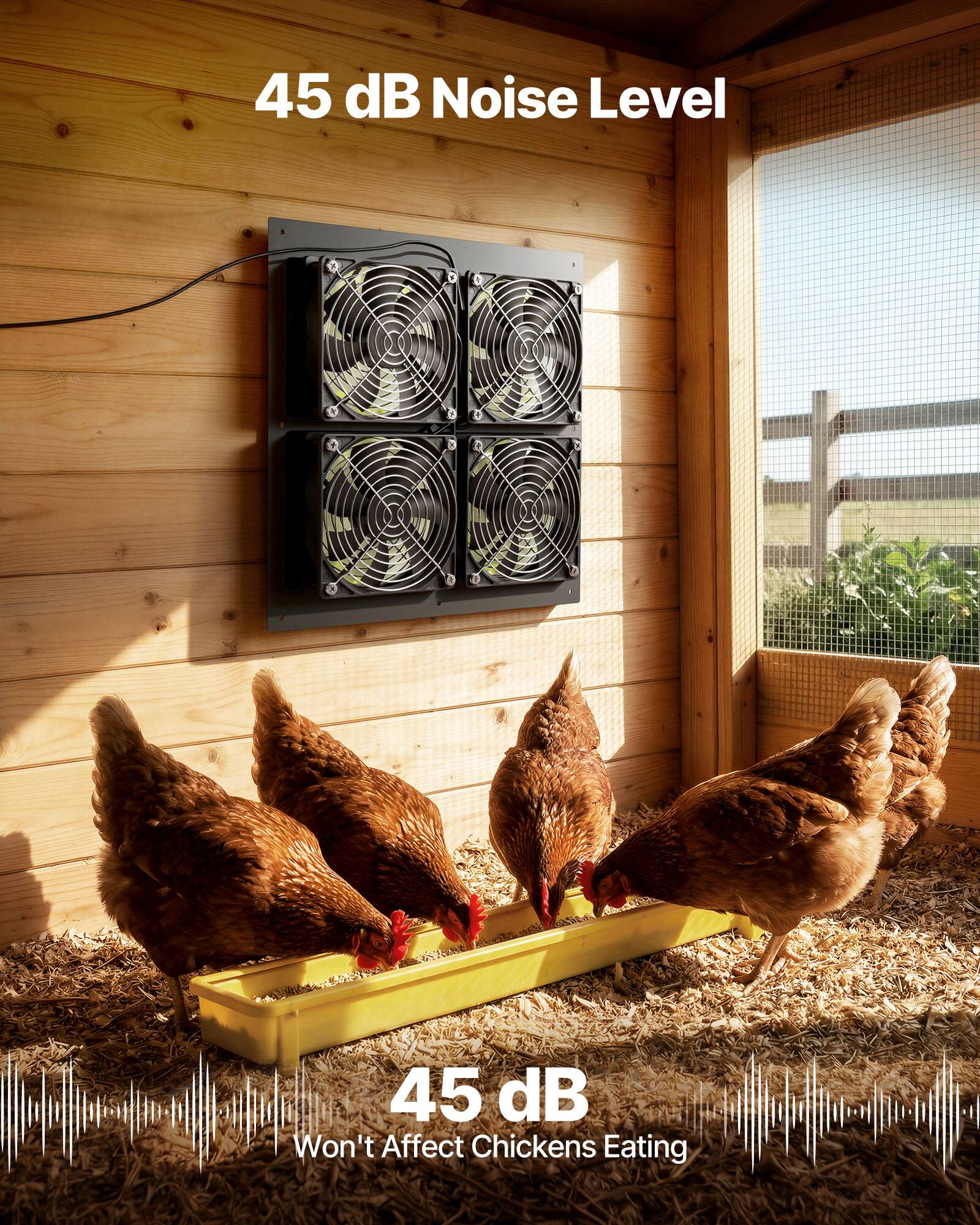 45 dB Noise Level

45 dB
Won't Affect Chickens Eating