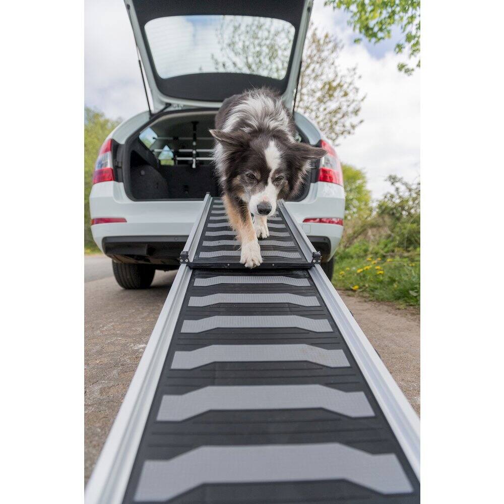 Angle. TRIXIE - Collapsible Non-Slip 69" Long Aluminum Pet Ramp, Silver-Black, 198 lb Limit - Silver/Black.
