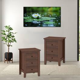 Hivvago - Modern Bedside Cabinets with Dual Drawer Storage - Set of Two - Walnut