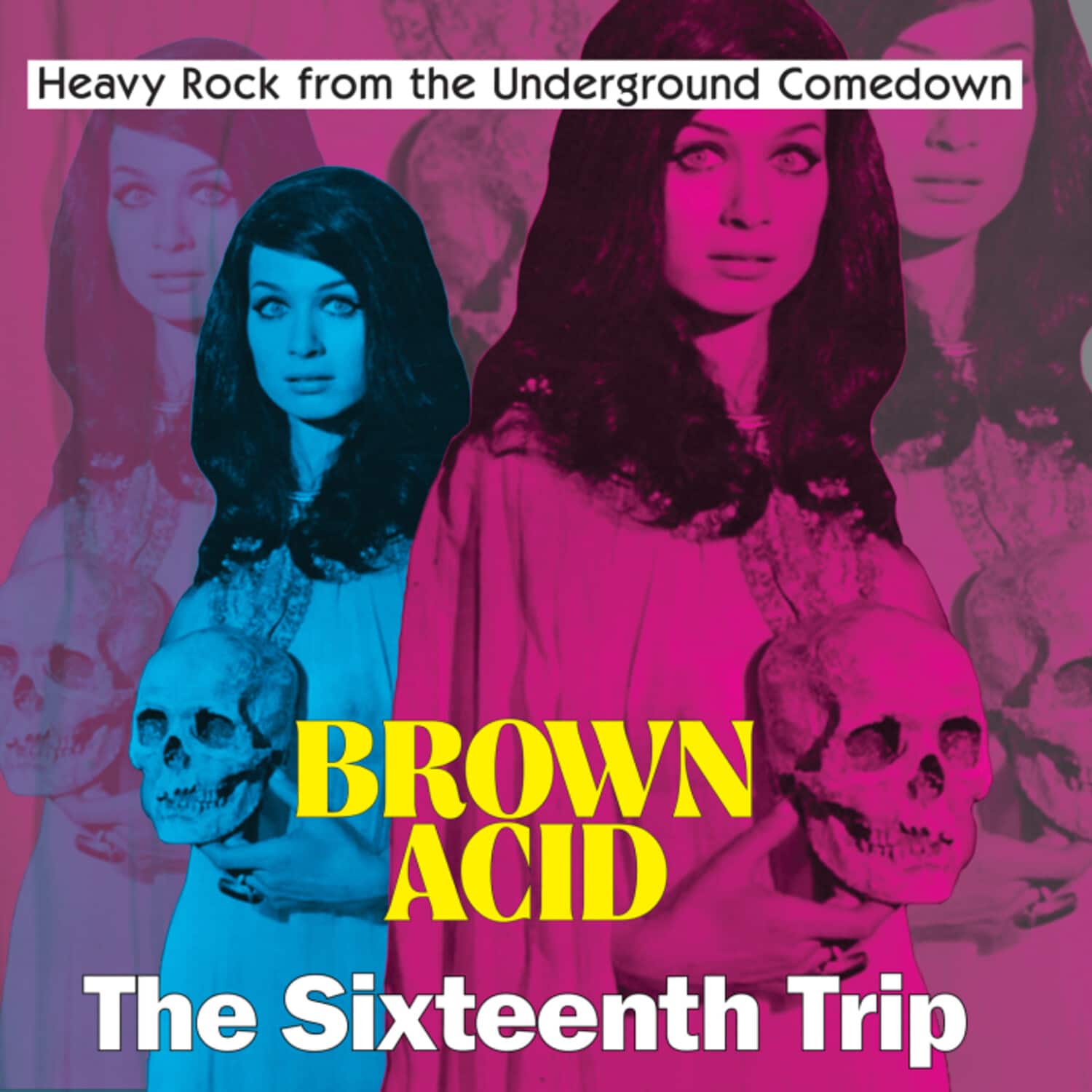 Various Artists - Brown Acid - The Sixteenth Trip (Various Artists)   - VINYL LP price history on PriceWatchPro
