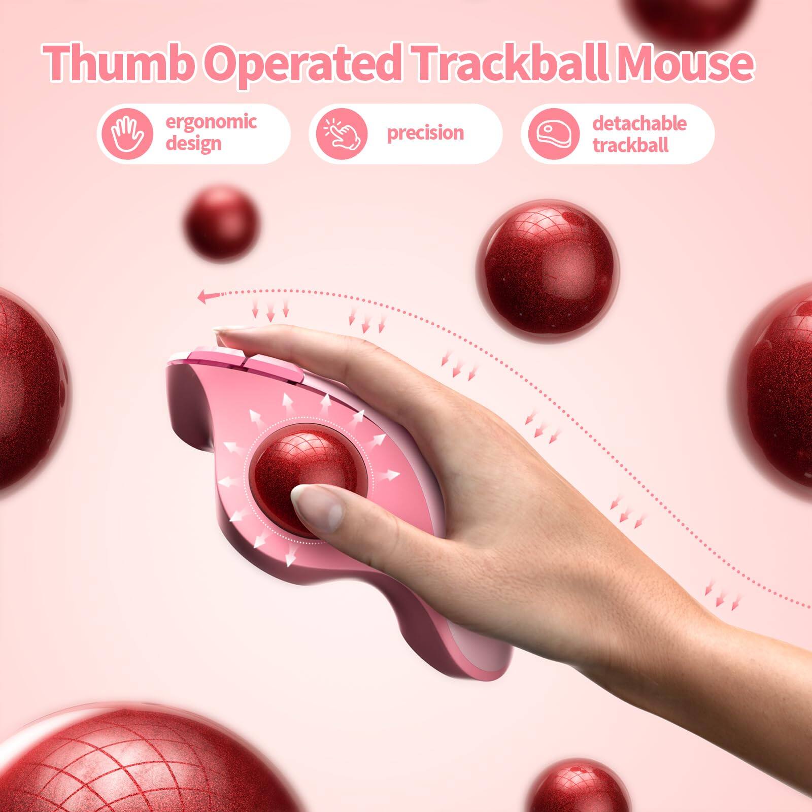Thumb Operated Trackball Mouse

- ergonomic design
- precision
- detachable trackball