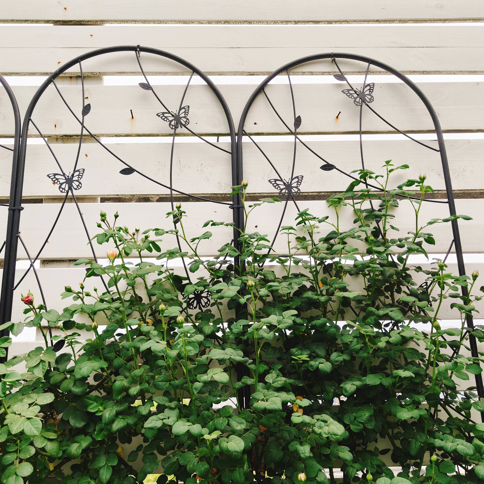 Alt View 1. Loheer - Rustproof Metal Garden Trellis 2 Pack 7.23 x 1.64 ft Plant Support for Climbing Flowers - Black.