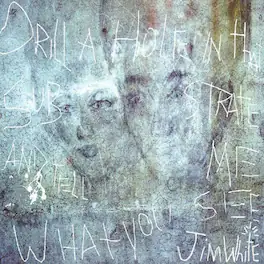 Jim White - Drill A Hole In That Substrate And Tell Me What - VINYL LP