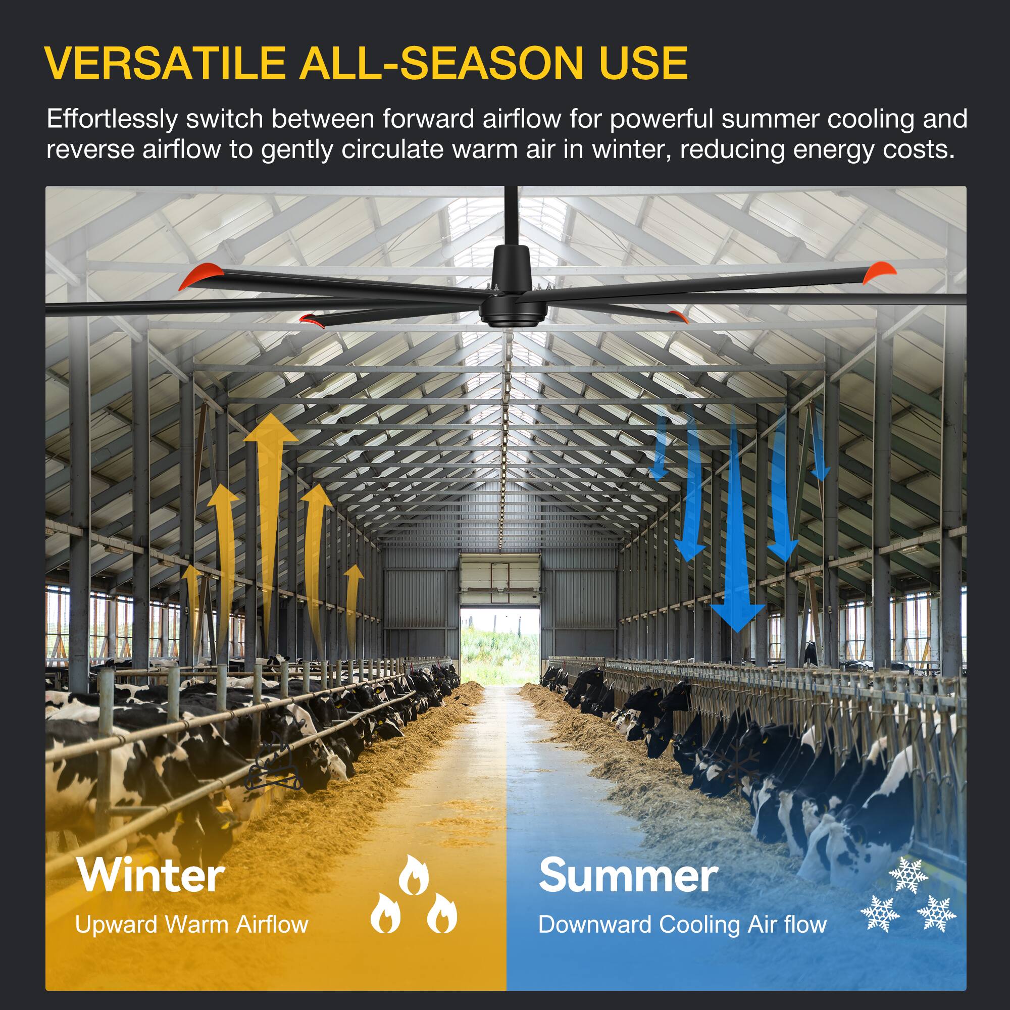 VERSATILE ALL-SEASON USE

Effortlessly switch between forward airflow for powerful summer cooling and reverse airflow to gently circulate warm air in winter, reducing energy costs.

Winter
Upward Warm Airflow

Summer
Downward Cooling Air flow
