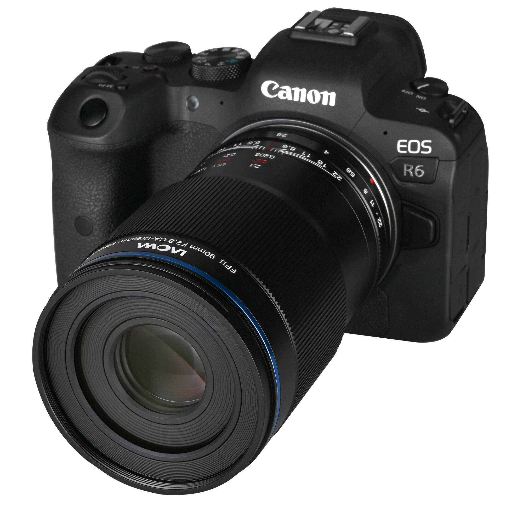 Canon EOS R6 with 24-70mm f/2.8 lens